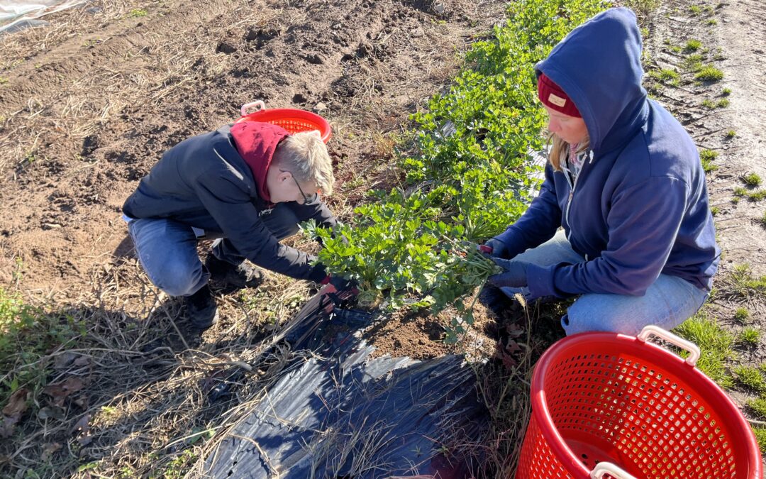 The Farm Is About Much More Than Growing Organic Vegetables, Fruits, and Herbs